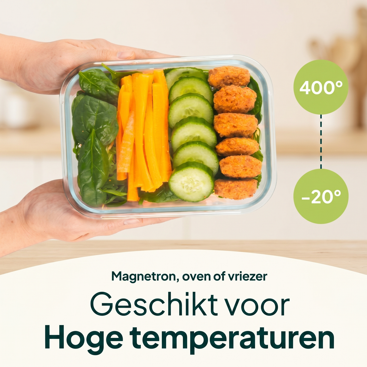 Récipients de préparation de repas en verre Vivid Green, 10 pièces